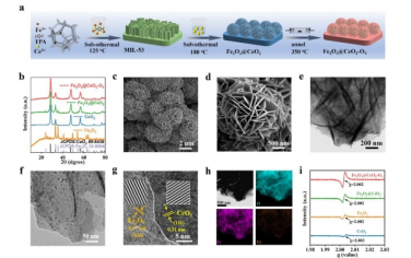 Energy Environ. Sci.：通过缺陷设计的 Fe2O3-CeO2 纳米异质结激活晶格氧，实现高效的电化学水氧化