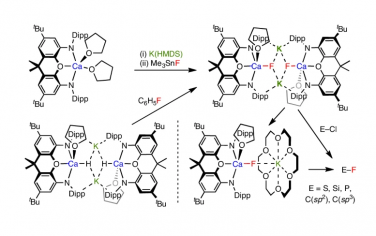 Nature Chem：合成含Ca-F化学键的分子