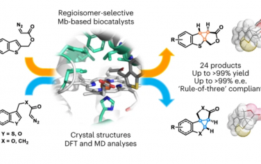 Nature Chemistry：从定向进化和计算模拟构建富含sp3的多环化合物的生物催化策略