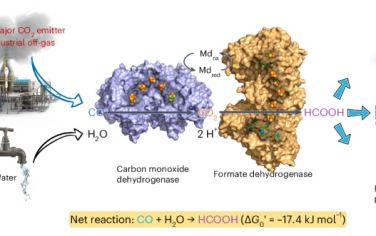 Nature Chem Enginner：酶催化应用于工业废气脱碳