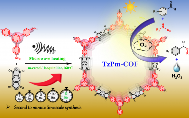 Angew：微波快速合成COF光催化氧化有机胺制备酰胺