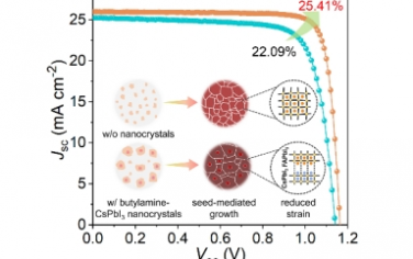Angew：种子介导的高效钙钛矿太阳能电池生长：种子表面的重要作用