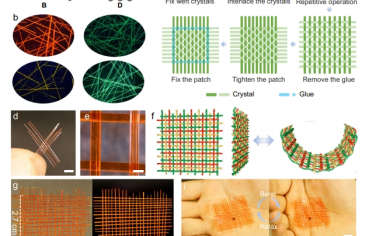 Nat Commun：编织有机晶体