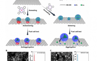 Science Advances：原子胶稳定的 Pt 基金属间纳米颗粒