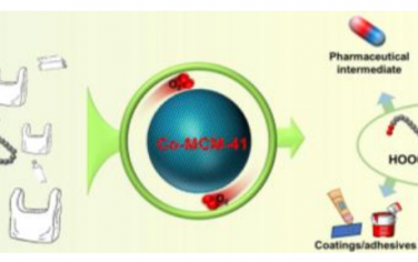 四川大学Angew：Co-MCM-41催化聚乙烯合成长链双羧酸