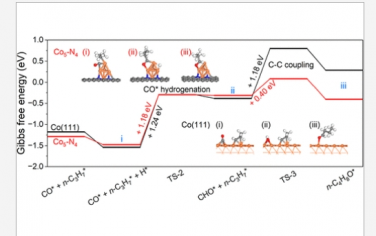 Nano Letters：金属钴和氧化钴之间用于丙烯氢甲酰化的有效界面位点