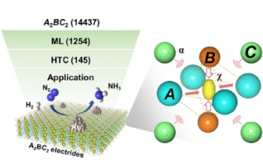 JACS：机器学习加速发现具有不同阴离子电子密度的 A2BC2 三元电子化合物