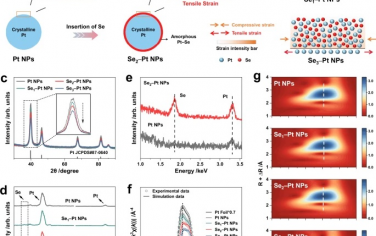 厦门大学&华中科技大学Nature Commun：表面硒化调控Pt的酸性电催化合成H2O2