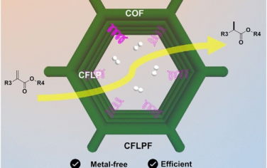 JACS：安装手性Lewis受阻酸碱对的COF催化烯烃不对称加氢