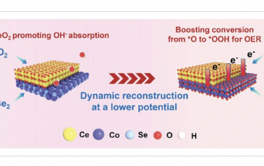 AEM：CeO2加速CoSe2纳米针状活性材料的表面重构以促进析氧反应