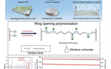 AEM：开环聚合重构聚丙烯腈网络用于超稳定固态锂金属电池