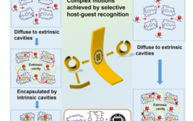 Chem：通过主客体互动促进软物质中的刺激反应运动