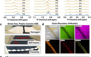 Nature Communications：通过非质子型动态高分子网络实现锂金属电池自愈型塑料陶瓷电解质
