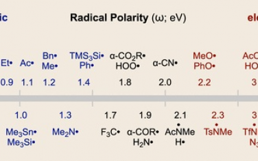 JACS：自由基极性的影响