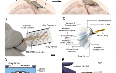 Nat Commun：受折纸启发的软流体驱动，用于微创大面积皮质电图