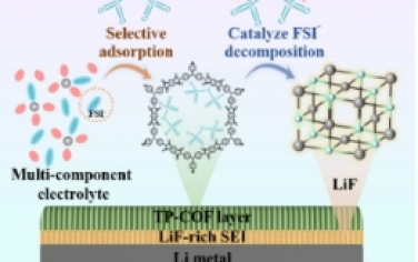 Angew：通过电荷分离的 COF 夹层增强稳定锂金属软包电池的阴离子选择性催化