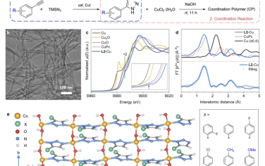 曾杰等Nature Commun：有机分子调节Cu催化剂的C-C偶联反应增强CO2RR