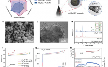 EES：可控长期补锂提高锂离子电池能量密度和循环寿命