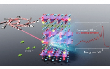 JACS：氟离子电池中涉及 O−O 键形成的高容量双层钙钛矿氟氧化物阴极