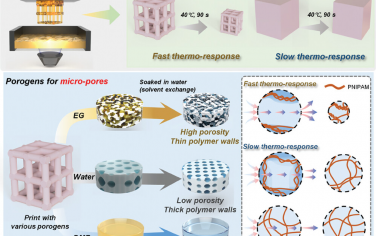 AFM：通过3D打印分层孔隙率提高PNIPAM的温度响应性