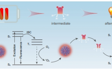 Nat Commun：光氧化引发碳纳米点的超长余辉
