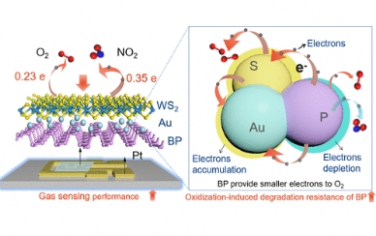 ACS Nano：用于高性能室温气体传感的 2D-0D-2D 夹层异质结构