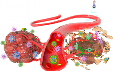 Nano Lett：工程化纳米敏化剂可重塑TME以实现低免疫原性肿瘤的“冷”-“热”转化