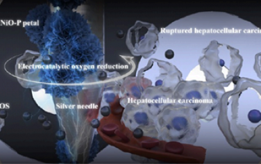 ACS Nano：调节电催化剂的原子间距可促进活性氧产生以实现精准的肝癌细胞凋亡