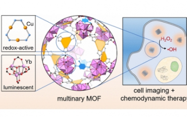 JACS：用于近红外成像和化学动力学治疗的多元金属有机框架的靶标设计