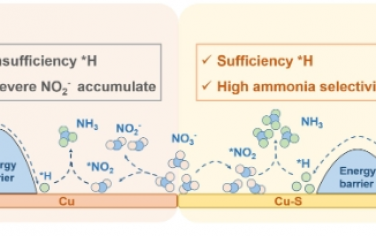 Angew：铜上硫助推的活性氢可增强电催化硝酸盐至氨的选择性