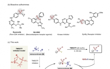 Nat Commun：磺酰亚胺酰氟和有机三氟硼酸盐的 C-SuFEx 连接