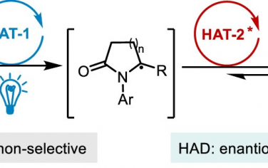 上海交通大学JACS：双HAT催化剂实现内酯化合物光催化氘代去消旋化