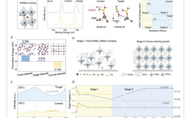 AM：通过“卤化物锁定”实现高效单片钙钛矿/TOPCon硅叠层太阳能电池