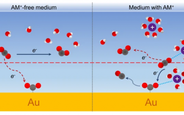 Nature Commun：阳离子调节电催化还原CO2的机理