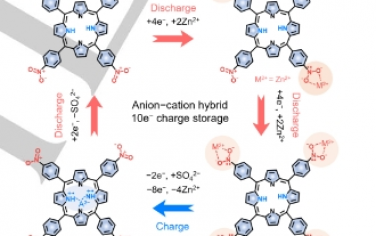 Angew：用于高性能有机锌电池的多电子氧化还原双极四硝基卟啉大环正极