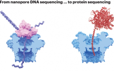 Nature Chem：纳米孔DNA测序技术的发展以及单分子蛋白基因组学的应用