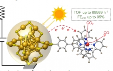 Angew：将金属配合物锚定在 Au25 纳米团簇上以增强光耦合电催化 CO2 还原