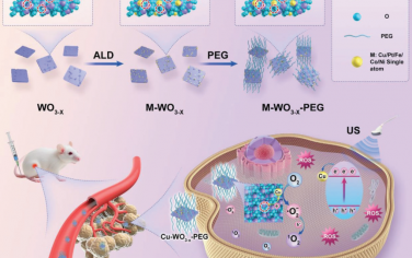 Adv. Mater：利用金属单原子和缺陷WO3-x纳米片之间的协同作用实现增强的癌症声动力治疗