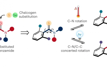 Nature Chem：光诱导硫酰胺分子多个化学键的协同旋转