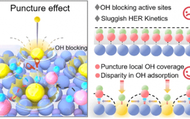 JACS：单原子Ru调控OH吸附增强碱性电解水性能