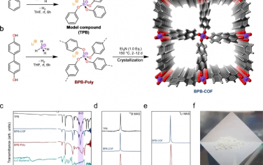 Nature Commun：硼酸酯和阳离子通过离子键构筑层状2D COF