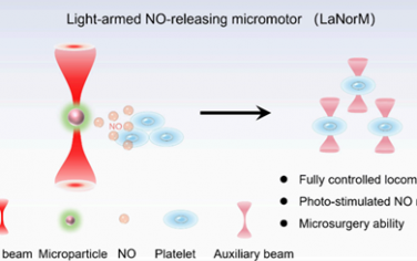 Nano Lett：体内光驱动一氧化氮释放微马达