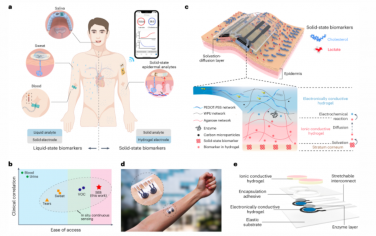 Nature Materials：可拉伸离子-电子双层水凝胶电子器件实现原位检测固态表皮生物标志物