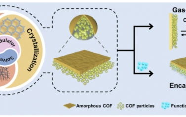 Nat Commun ：通过调节剂和溶剂诱导聚合构建功能共价有机框架薄膜