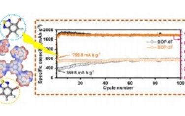 Angew：用于高性能锂有机电池的具有协同多活性基团的树枝状sp碳共轭苯并噻二唑基聚合物