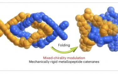 Nature Synthesis：通过高效折叠实现机械刚性金属肽纳米结构