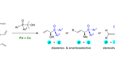 上海有机所Angew：Pd-Co协同催化烯炔、联烯、二烯三组分立体合成