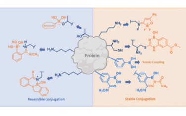 Chem. Soc. Rev.：硼生物偶联化学