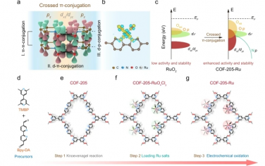 Nat Commun：稳定共轭 sp2 碳连接共价有机骨架中的 Ru 原子以用于酸性水氧化