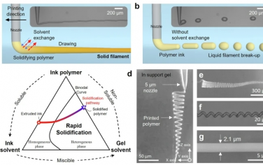 Nat Commun：通过嵌入式溶剂交换快速 3D 打印细小、连续、柔软的纤维